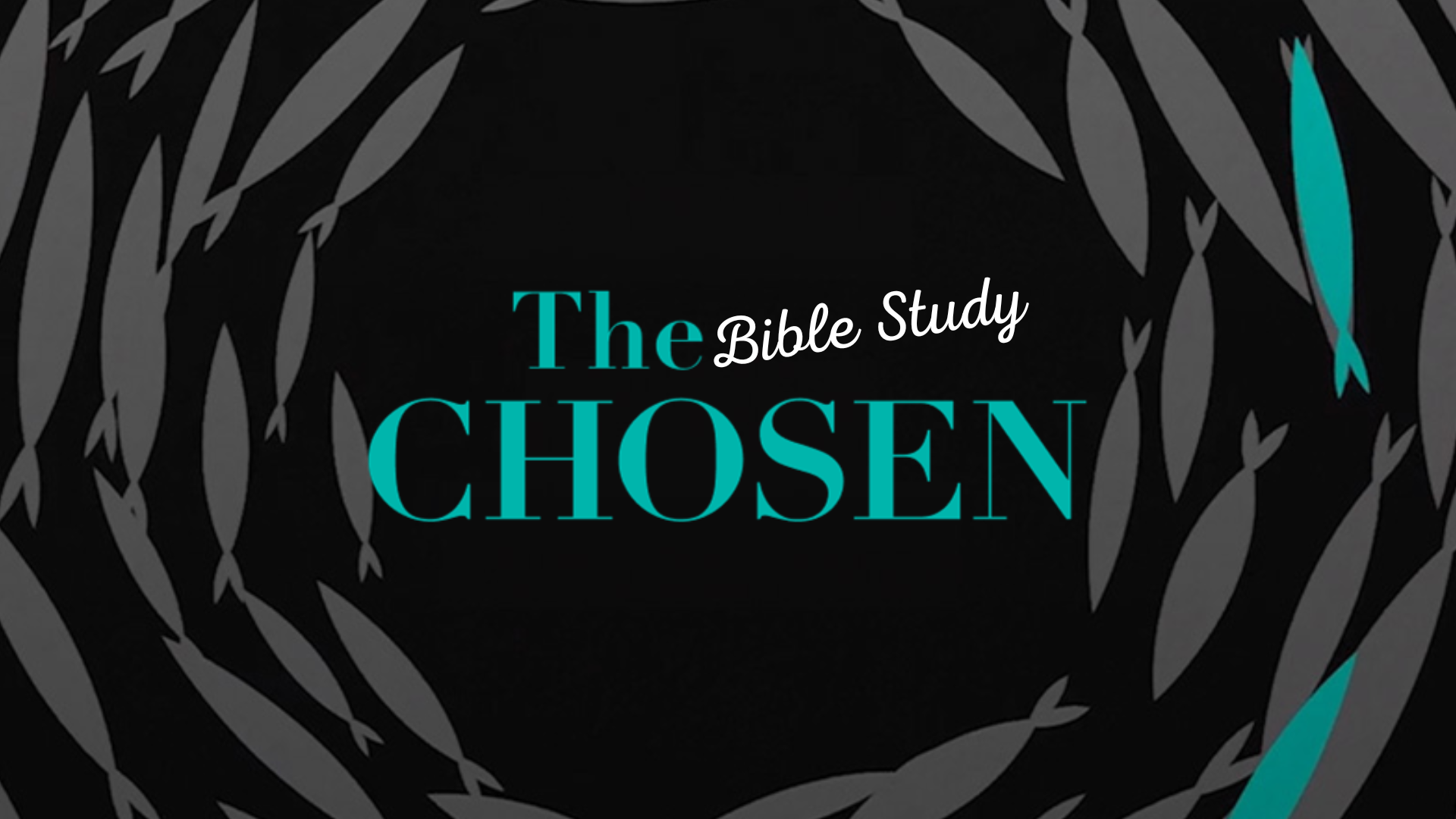 THE CHOSEN BIBLE STUDY RETURNS